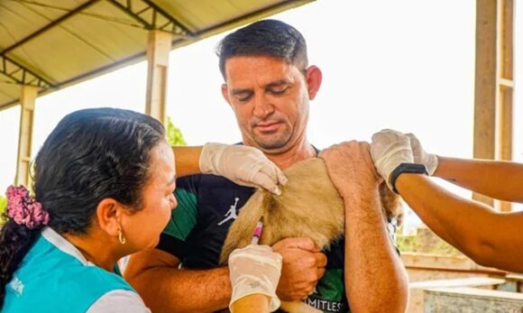 Santarém completa 20 anos sem casos de raiva humana graças a estratégia de vacinação animal