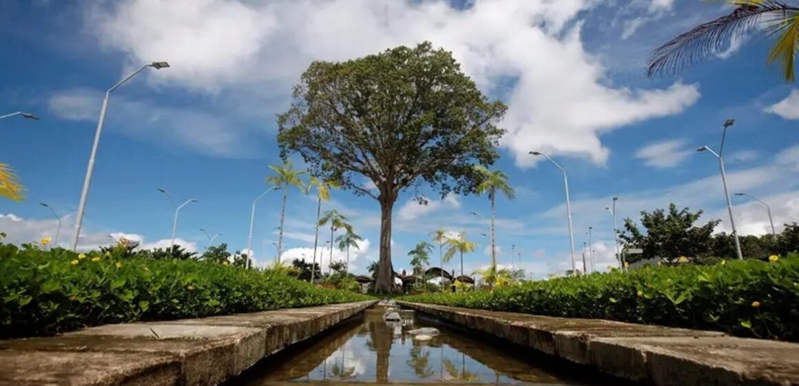 Ideflor-Bio abre vagas para voluntários no Parque do Utinga