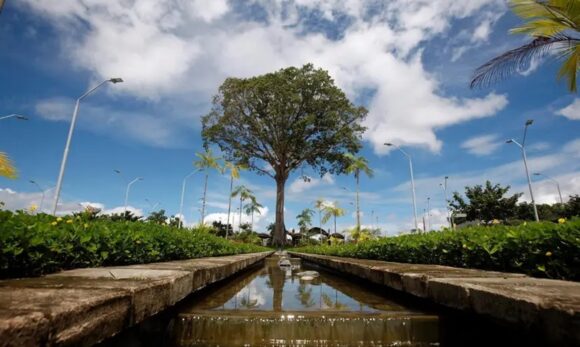 Ideflor-Bio abre vagas para voluntários no Parque do Utinga