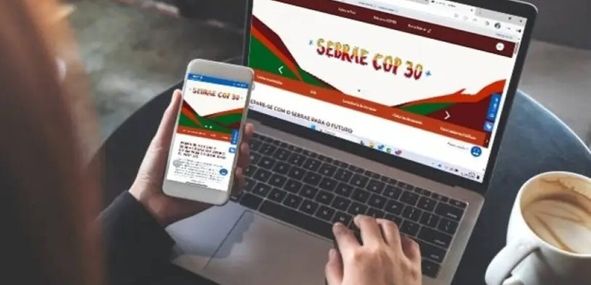 Sebrae lança portal para preparar pequenos negócios para a COP 30