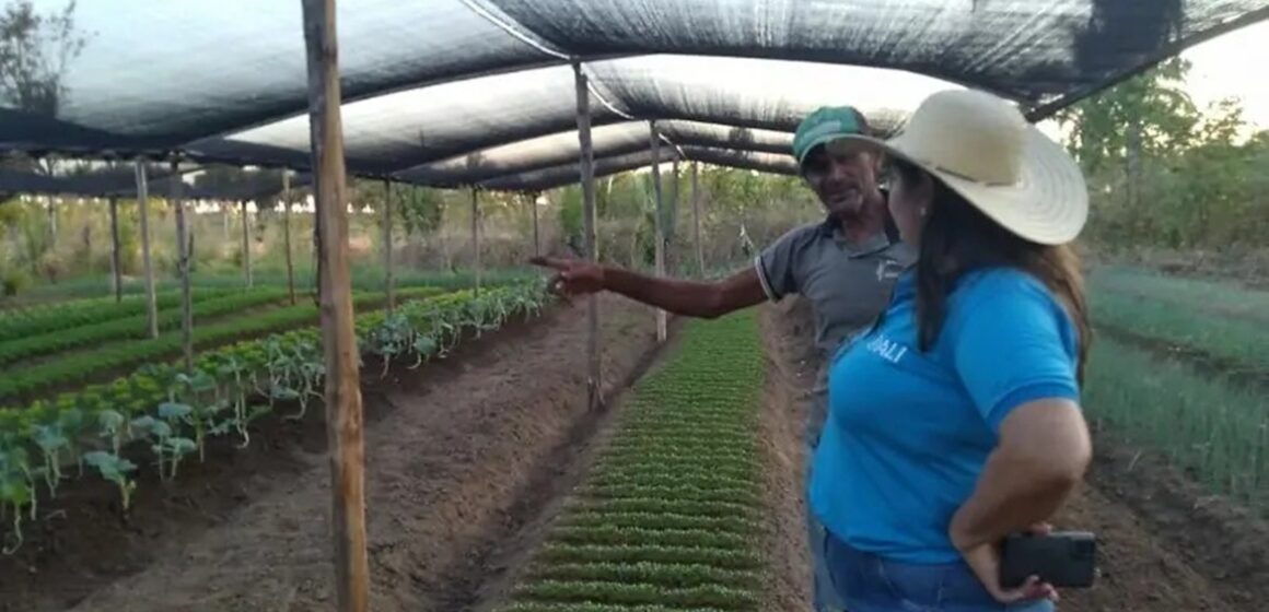 Últimos dias para inscrições em bolsas de inovação do Sebrae para projetos cooperativos na Amazônia