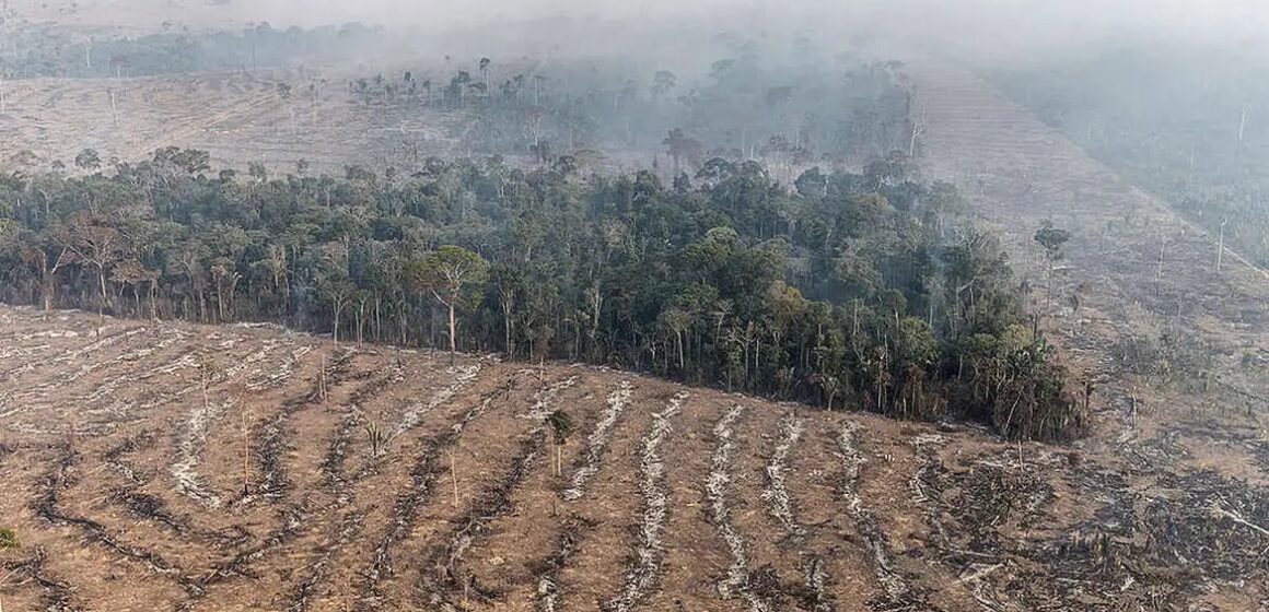 Fazendeiro é denunciado por incêndios criminosos e porte ilegal de arma no sudoeste do Pará