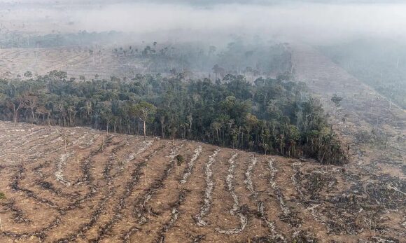 Fazendeiro é denunciado por incêndios criminosos e porte ilegal de arma no sudoeste do Pará