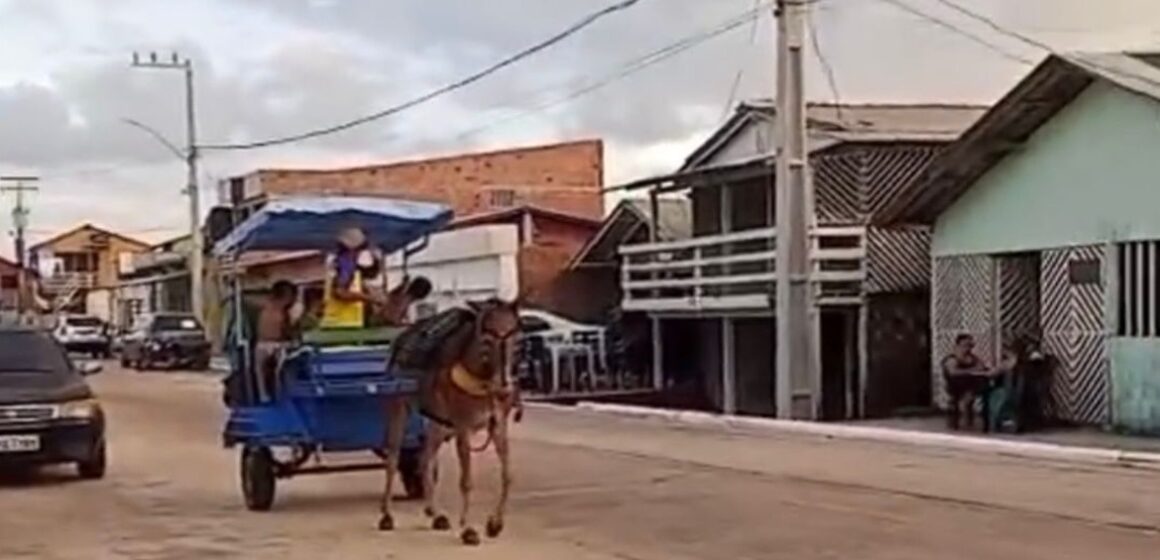 Justiça do Pará proíbe uso de animais para transporte em praia de Bragança