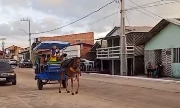 Justiça do Pará proíbe uso de animais para transporte em praia de Bragança