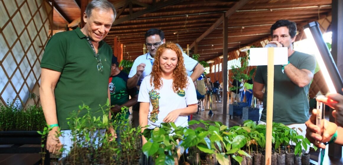 Sebrae lança incubadora de startups da bioeconomia amazônica no Pará