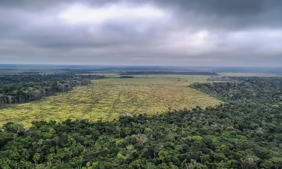 Justiça bloqueia R$ 49 milhões de desmatadores por queimada de 2,6 mil hectares na Amazônia