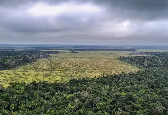 Justiça bloqueia R$ 49 milhões de desmatadores por queimada de 2,6 mil hectares na Amazônia