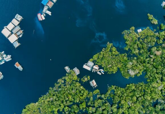 DIBB encerra nesta quinta (10) inscrições para R$ 2 milhões em projetos sustentáveis na Amazônia
