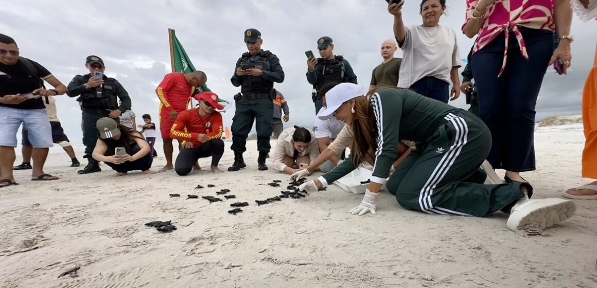 Comunidade participa de soltura de 79 filhotes de tartarugas marinhas em Salinópolis