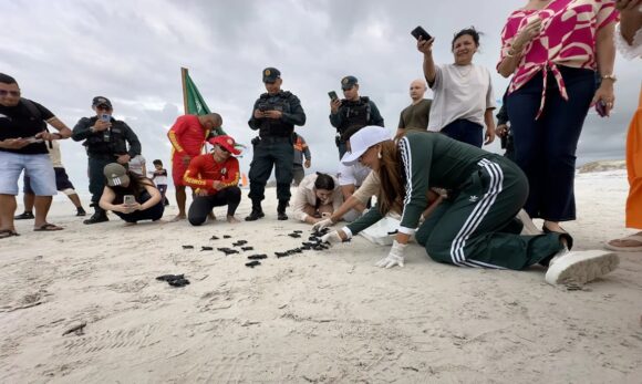 Comunidade participa de soltura de 79 filhotes de tartarugas marinhas em Salinópolis