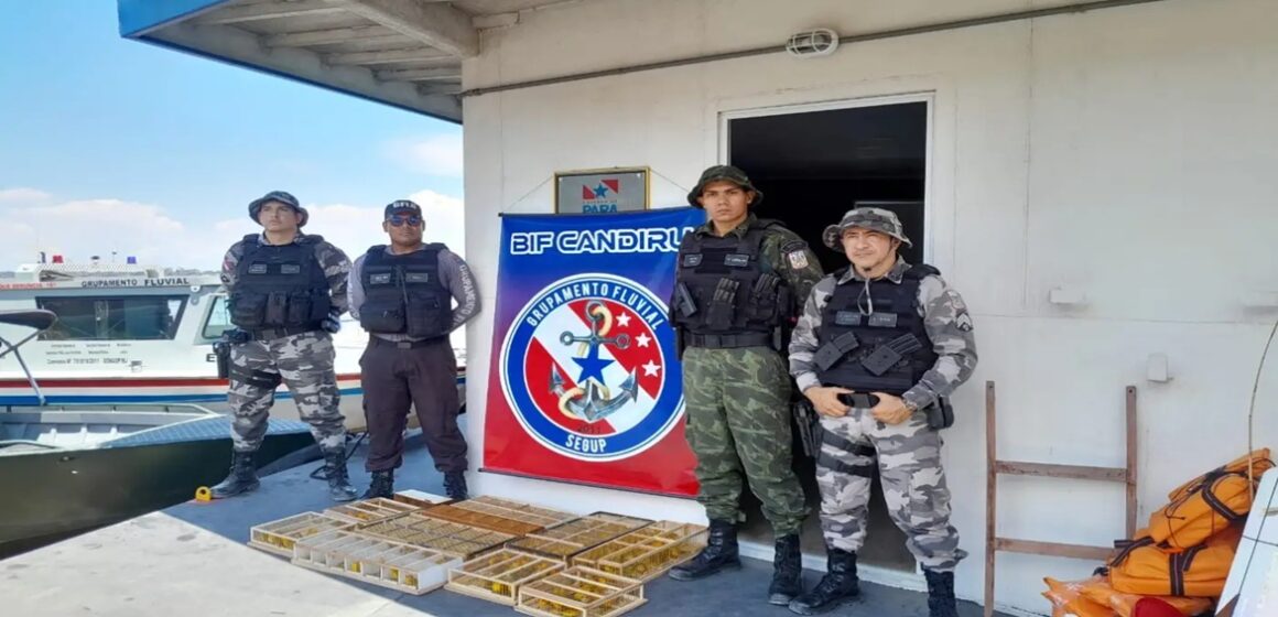 20250814084723-GC00069662-F00255388 Fiscalização apreende 225 pássaros silvestres e prende dois homens no Pará