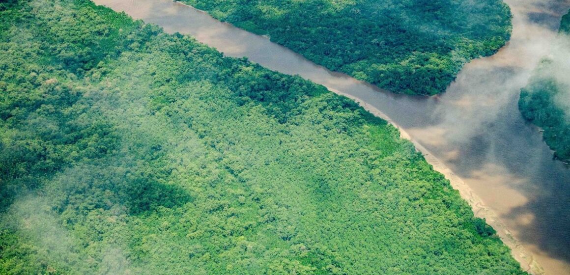 Pará reduz em 74% focos de queimadas em julho de 2025, aponta monitoramento oficial