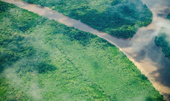 Pará reduz em 74% focos de queimadas em julho de 2025, aponta monitoramento oficial