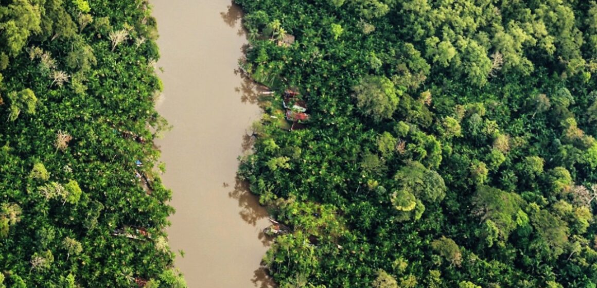 Cientistas de Yale descobrem fungo amazônico que decompõe plástico em condições anaeróbicas