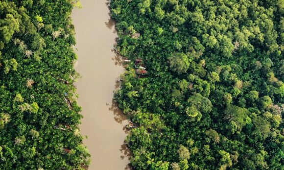 8696_d281d70e-7260-283c-b0e3-6158c74998c9 Cientistas de Yale descobrem fungo amazônico que decompõe plástico em condições anaeróbicas