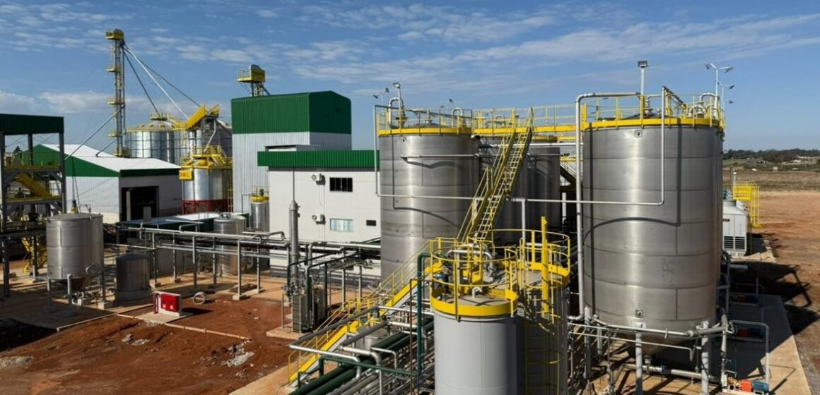 Primeira usina de etanol de trigo do Brasil inicia operações no RS ainda em agosto