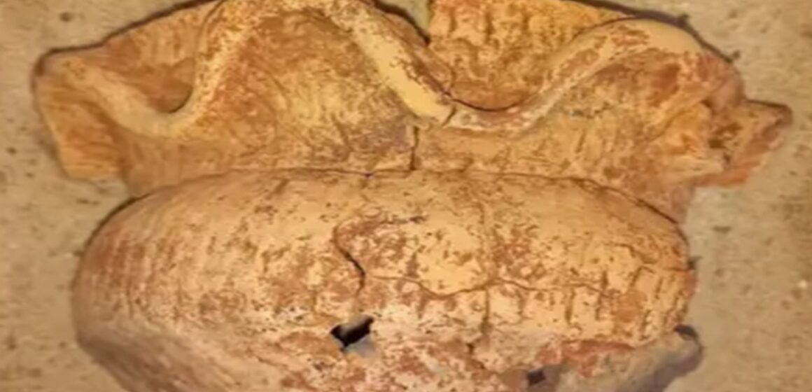 Panela guarani de 2 mil anos é descoberta em obra no Rio Grande do Sul