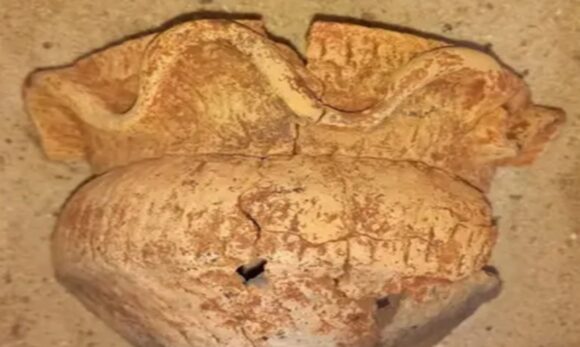 Panela guarani de 2 mil anos é descoberta em obra no Rio Grande do Sul