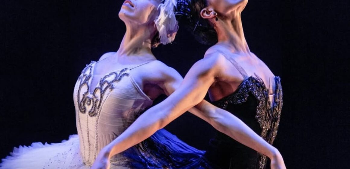 Theatro da Paz recebe São Paulo Companhia de Dança com espetáculos clássicos e contemporâneos
