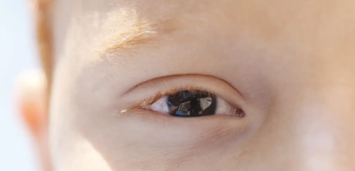 Cartilha orienta pais e professores sobre saúde ocular infantil