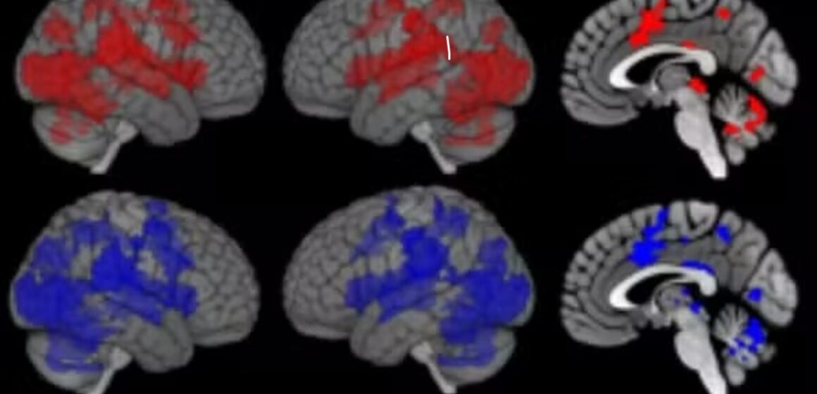 Cérebro ativa defesas imunológicas ao visualizar pessoas doentes, revela estudo