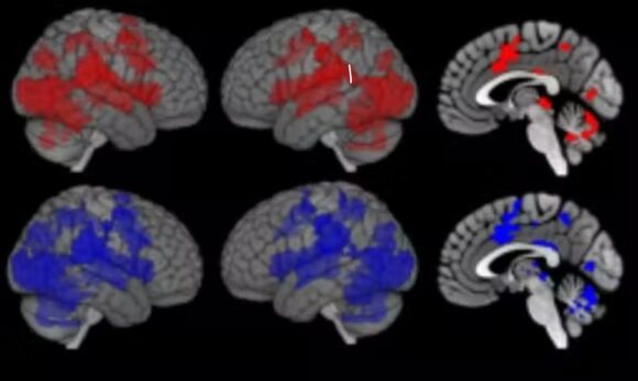 Cérebro ativa defesas imunológicas ao visualizar pessoas doentes, revela estudo