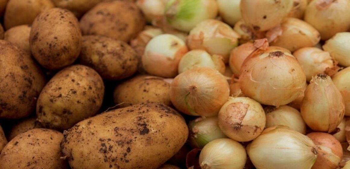 Batata e cebola registram quedas de até 31% no atacado, aponta Conab
