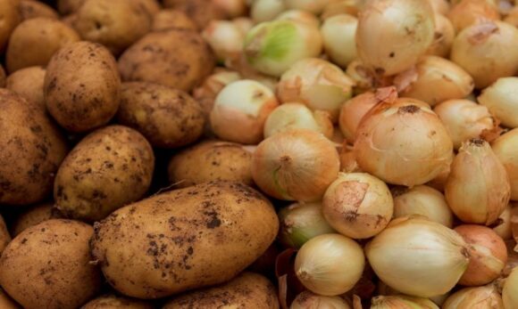 Batata e cebola registram quedas de até 31% no atacado, aponta Conab