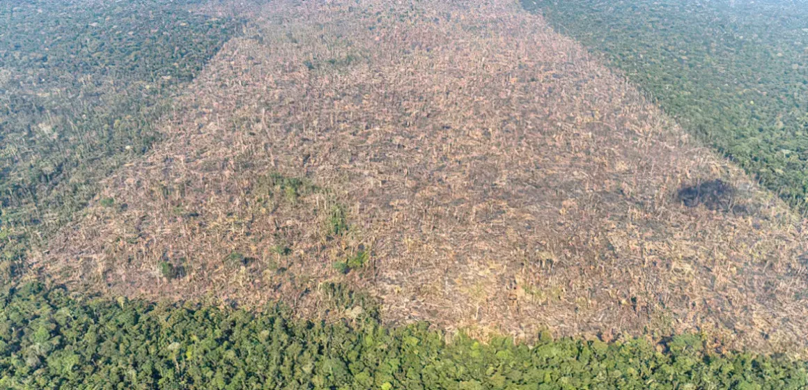 desmatamento-em-labrea-municipio-do-sul-do-amazonas-foto-victor-moriyama-amazonia-em-chamas-2021-2 Desmatamento tropical causa 28 mil mortes anuais por calor excessivo, aponta estudo global