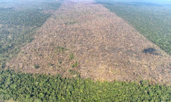 desmatamento-em-labrea-municipio-do-sul-do-amazonas-foto-victor-moriyama-amazonia-em-chamas-2021-2 Desmatamento tropical causa 28 mil mortes anuais por calor excessivo, aponta estudo global