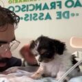 Veterinário emociona ao acalmar cadelinha durante tratamento em vídeo que viralizou