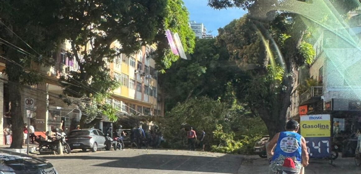 Queda de árvore interdita via e causa danos na 14 de Março, em Belém