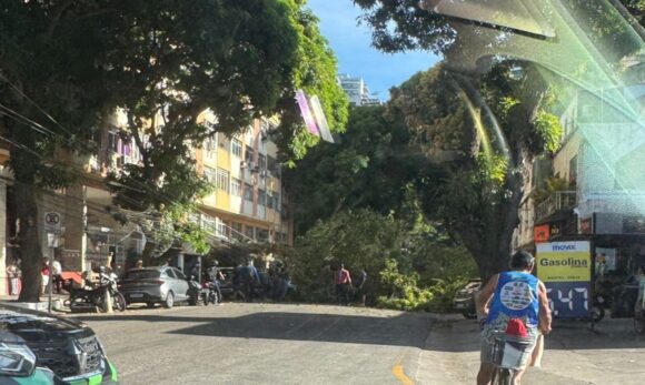 uma-rvore-de-grande-porte-caiu-na-travessa-14-de-maro-no-bairro-do-umarizal-em-belm-7nfq5cjj0gr Queda de árvore interdita via e causa danos na 14 de Março, em Belém