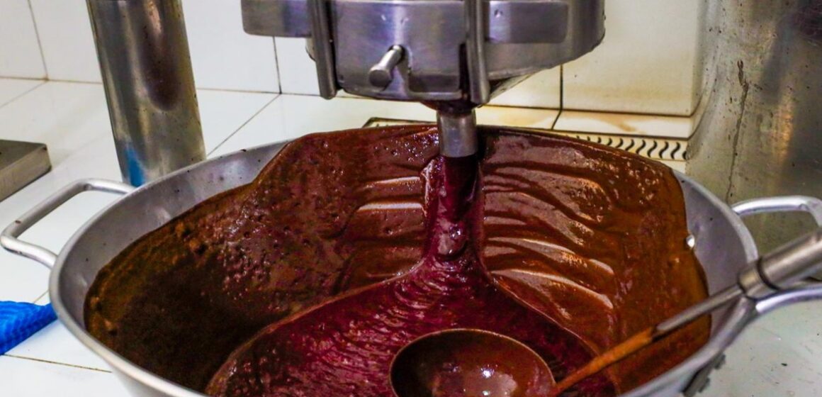 Consumo diário de açaí traz benefícios à saúde cardiovascular e imunológica, explica nutricionista