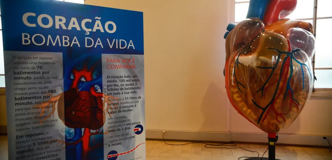 Pará registra mais de 1,6 mil internações por infarto no primeiro semestre de 2025