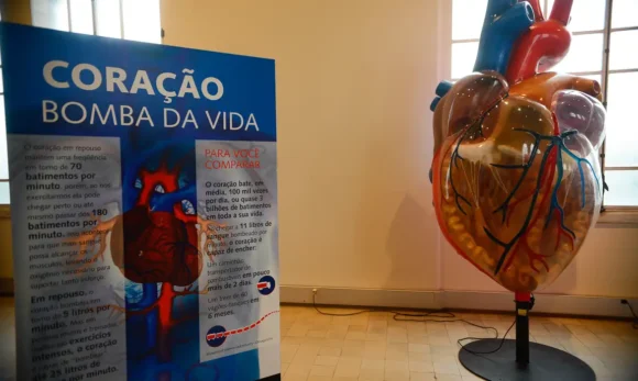 Pará registra mais de 1,6 mil internações por infarto no primeiro semestre de 2025