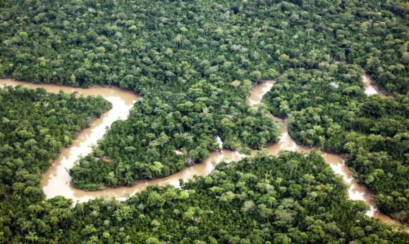 Pará reduz focos de incêndio em 90,5% em agosto de 2025