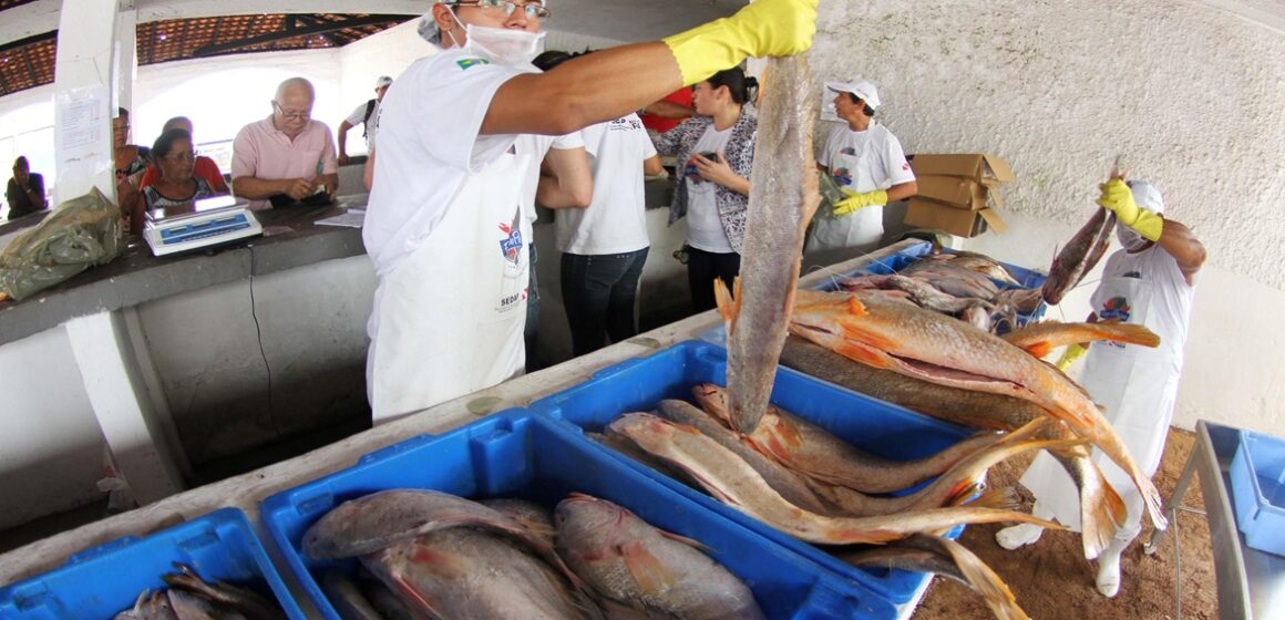 55620_149493 Preço do pescado tem queda pelo quarto mês consecutivo em Belém, aponta estudo