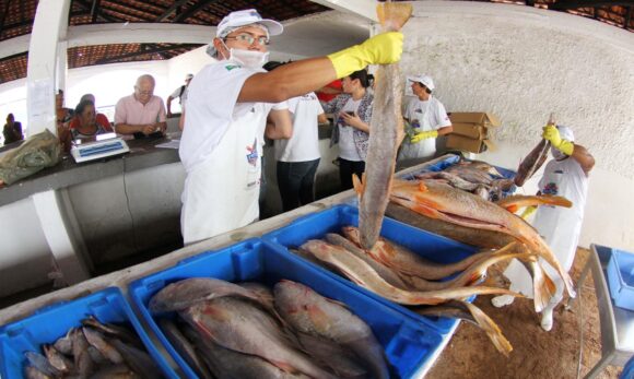 55620_149493 Preço do pescado tem queda pelo quarto mês consecutivo em Belém, aponta estudo