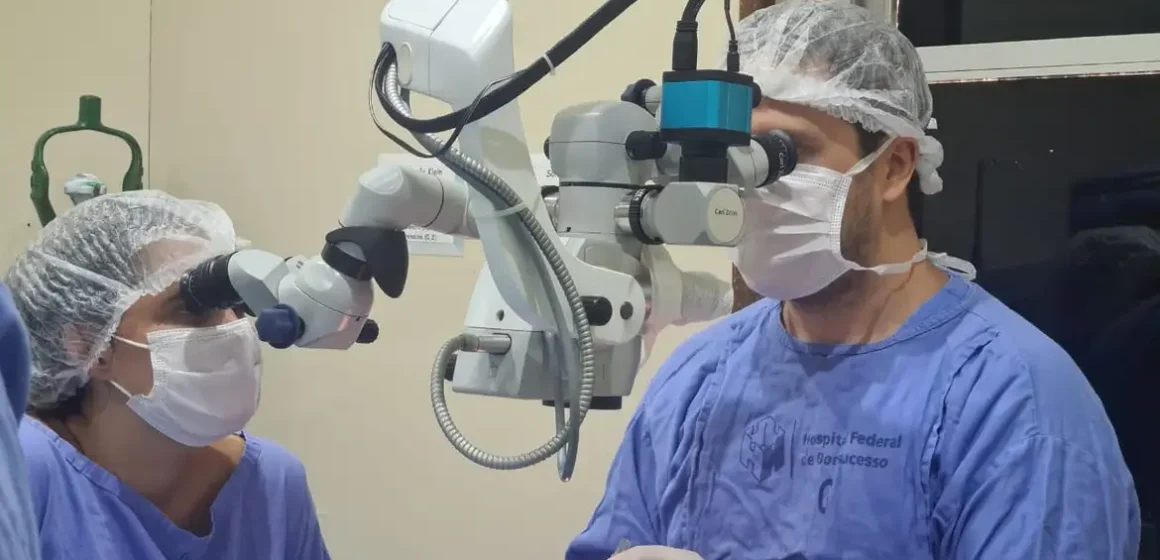 EUA aprovam primeiros testes clínicos de transplantes de rins de porco em humanos