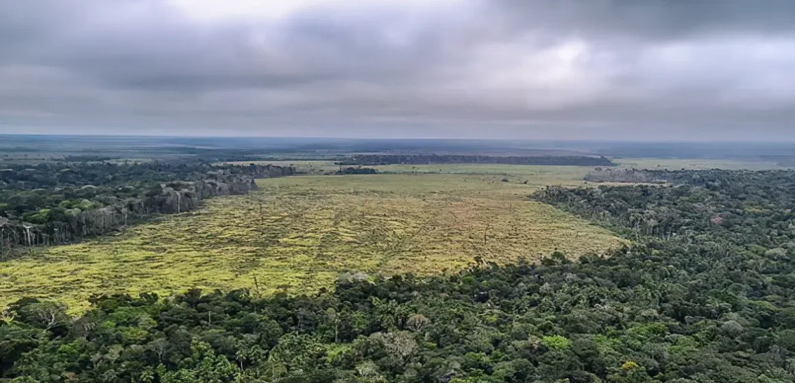 Desmatamento é responsável por 75% da redução de chuvas na Amazônia, revela estudo