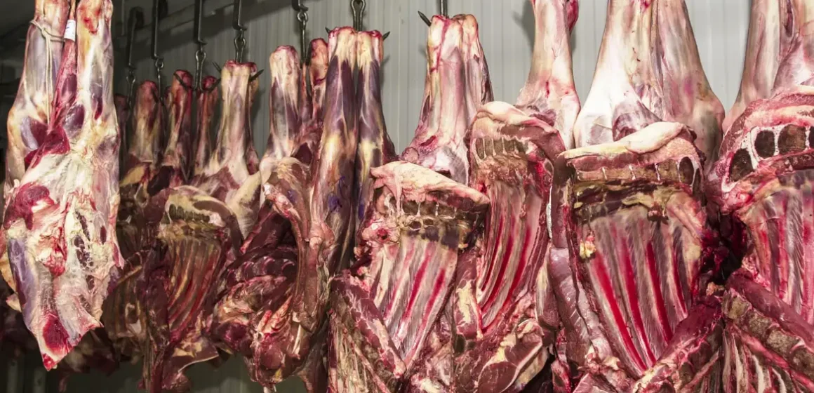 Mapa prevê que Japão e Turquia devem abrir mercados para carne bovina brasileira até fim de 2025