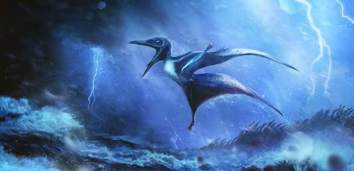 Tempestade tropical causou morte de filhotes de pterossauros há 150 milhões de anos, revela estudo
