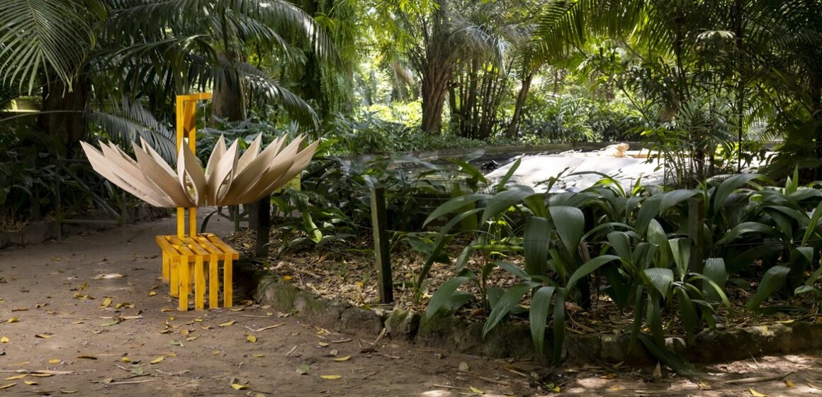 Exposição no Museu Goeldi propõe diálogo entre arte e natureza como preparação para COP30
