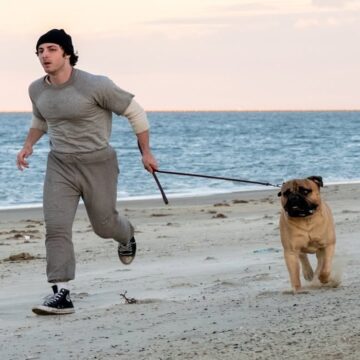 SaveClip.App_568131466_18532061788044738_5461454845279349017_n Filme biográfico revela primeira imagem de ator como Sylvester Stallone em “I Play Rocky”