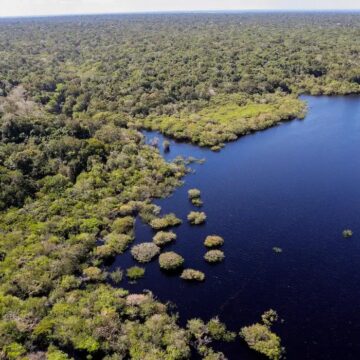 Brasil prepara proposta ousada para a COP30: fundo de US$ 125 bilhões e nova coalizão climática