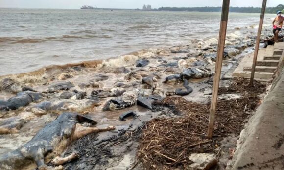 Navio Haidar continua submerso uma década após naufrágio que devastou praia no Pará