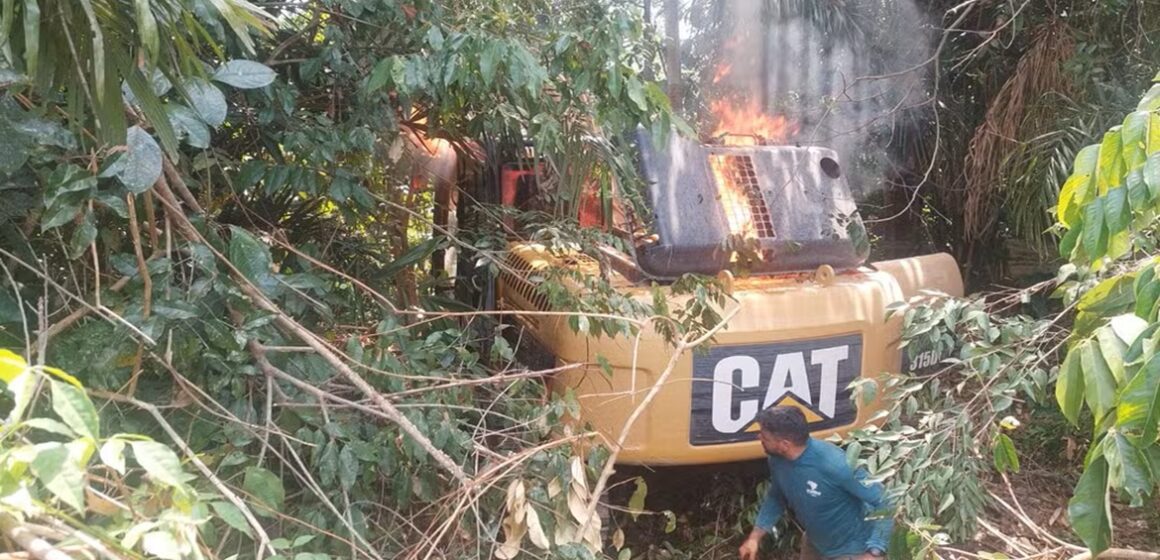 Operação federal aplica R$ 22 milhões em multas por pecuária ilegal em área de preservação no Pará
