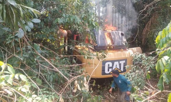 Operação federal aplica R$ 22 milhões em multas por pecuária ilegal em área de preservação no Pará